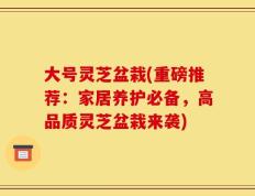 大号灵芝盆栽(重磅推荐：家居养护必备，高品质灵芝盆栽来袭)