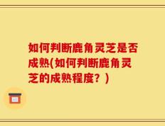 如何判断鹿角灵芝是否成熟(如何判断鹿角灵芝的成熟程度？)