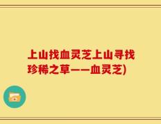 上山找血灵芝上山寻找珍稀之草——血灵芝)