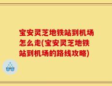 宝安灵芝地铁站到机场怎么走(宝安灵芝地铁站到机场的路线攻略)