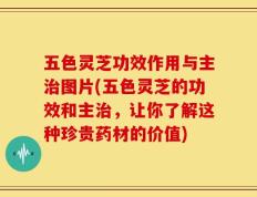 五色灵芝功效作用与主治图片(五色灵芝的功效和主治，让你了解这种珍贵药材的价值)