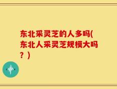东北采灵芝的人多吗(东北人采灵芝规模大吗？)