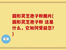 圆形灵芝孢子粉图片(圆形灵芝孢子粉 这是什么，它如何受益您？)