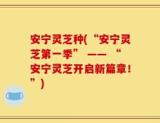 安宁灵芝种(“安宁灵芝第一季” —— “安宁灵芝开启新篇章！”)