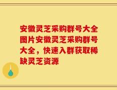 安徽灵芝采购群号大全图片安徽灵芝采购群号大全，快速入群获取稀缺灵芝资源