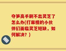 夺笋高手刷不出灵芝了怎么办(打寡棍的小伙伴们面临灵芝短缺，如何解决？)