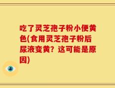 吃了灵芝孢子粉小便黄色(食用灵芝孢子粉后尿液变黄？这可能是原因)