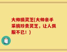 大帅摘灵芝(大帅亲手采摘珍贵灵芝，让人佩服不已！)