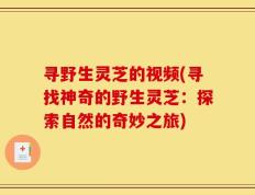 寻野生灵芝的视频(寻找神奇的野生灵芝：探索自然的奇妙之旅)
