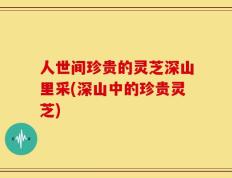 人世间珍贵的灵芝深山里采(深山中的珍贵灵芝)