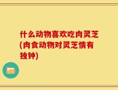 什么动物喜欢吃肉灵芝(肉食动物对灵芝情有独钟)