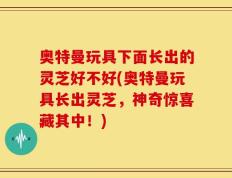 奥特曼玩具下面长出的灵芝好不好(奥特曼玩具长出灵芝，神奇惊喜藏其中！)