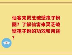仙客来灵芝破壁孢子粉图？了解仙客来灵芝破壁孢子粉的功效和用途？