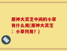 原神大灵芝中间的小草有什么用(原神大灵芝：小草何用？)