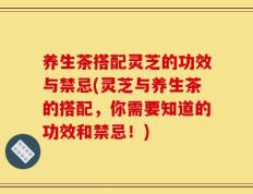 养生茶搭配灵芝的功效与禁忌(灵芝与养生茶的搭配，你需要知道的功效和禁忌！)