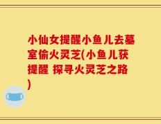小仙女提醒小鱼儿去墓室偷火灵芝(小鱼儿获提醒 探寻火灵芝之路)