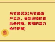 乌节路灵芝(乌节路盛产灵芝，受到追捧的背后是种植、传播的潜力亟待挖掘)