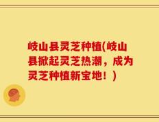 岐山县灵芝种植(岐山县掀起灵芝热潮，成为灵芝种植新宝地！)