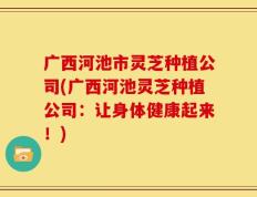 广西河池市灵芝种植公司(广西河池灵芝种植公司：让身体健康起来！)