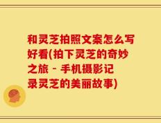 和灵芝拍照文案怎么写好看(拍下灵芝的奇妙之旅 - 手机摄影记录灵芝的美丽故事)