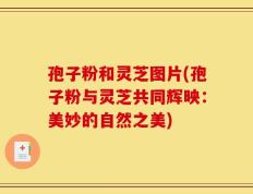 孢子粉和灵芝图片(孢子粉与灵芝共同辉映：美妙的自然之美)