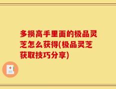 多损高手里面的极品灵芝怎么获得(极品灵芝获取技巧分享)