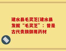 建水县毛灵芝(建水县发掘“毛灵芝”：曾是古代贵族御用药材