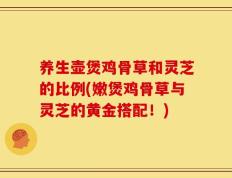 养生壶煲鸡骨草和灵芝的比例(嫩煲鸡骨草与灵芝的黄金搭配！)