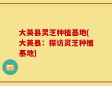 大英县灵芝种植基地(大英县：探访灵芝种植基地)