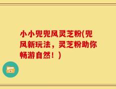 小小兜兜风灵芝粉(兜风新玩法，灵芝粉助你畅游自然！)