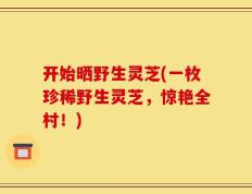 开始晒野生灵芝(一枚珍稀野生灵芝，惊艳全村！)
