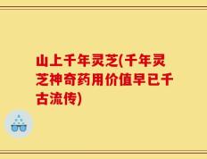 山上千年灵芝(千年灵芝神奇药用价值早已千古流传)
