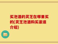 买泡酒的灵芝在哪里买的(灵芝泡酒购买渠道介绍)