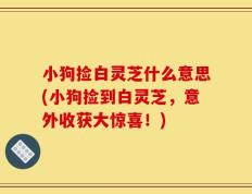 小狗捡白灵芝什么意思(小狗捡到白灵芝，意外收获大惊喜！)