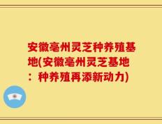 安徽亳州灵芝种养殖基地(安徽亳州灵芝基地：种养殖再添新动力)