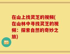 在山上找灵芝的视频(在山林中寻找灵芝的视频：探索自然的奇妙之旅)