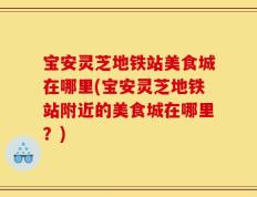宝安灵芝地铁站美食城在哪里(宝安灵芝地铁站附近的美食城在哪里？)