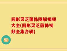 圆形灵芝菌株图解视频大全(圆形灵芝菌株视频全集合辑)