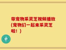 带宠物采灵芝视频播放(宠物们一起来采灵芝啦！)