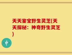天天鉴宝野生灵芝(天天探秘：神奇野生灵芝)