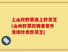 上山挖野菜遇上野灵芝(山林野菜挖掘者意外发现珍贵野灵芝)