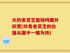 大的老灵芝值钱吗图片欣赏(珍贵老灵芝的价值从图中一睹为快)