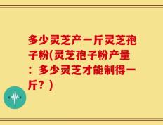 多少灵芝产一斤灵芝孢子粉(灵芝孢子粉产量：多少灵芝才能制得一斤？)