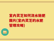 室内灵芝如何浇水施肥图片(室内灵芝的水肥管理攻略)