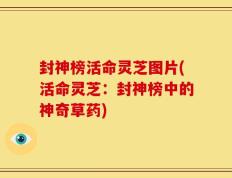 封神榜活命灵芝图片(活命灵芝：封神榜中的神奇草药)