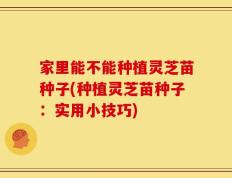 家里能不能种植灵芝苗种子(种植灵芝苗种子：实用小技巧)