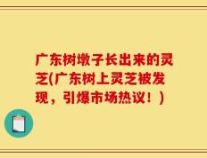 广东树墩子长出来的灵芝(广东树上灵芝被发现，引爆市场热议！)