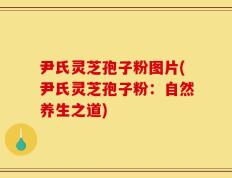 尹氏灵芝孢子粉图片(尹氏灵芝孢子粉：自然养生之道)