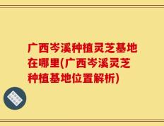 广西岑溪种植灵芝基地在哪里(广西岑溪灵芝种植基地位置解析)