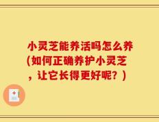 小灵芝能养活吗怎么养(如何正确养护小灵芝，让它长得更好呢？)